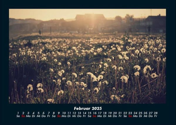 Produktbild: Blumenzauber 2025 Fotokalender DIN A4