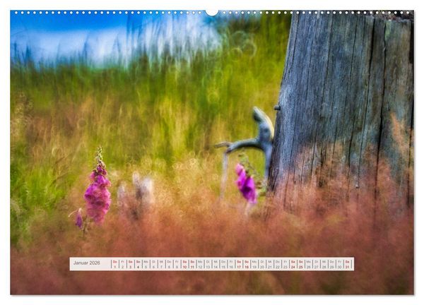 Produktbild: Traumhafte Waldstimmung am Rennsteig im Th&uuml;ringer Wald (hochwertiger Premium Wandkalender 2026 DIN A2 quer), Kunstdruck in Hochglanz