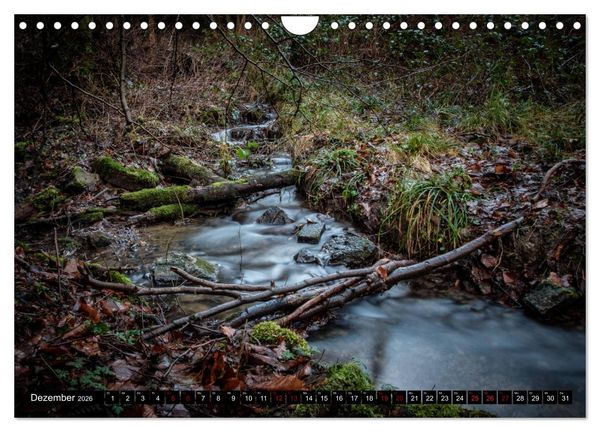 Produktbild: Wege des einfachen Gl&uuml;cks - Spazierg&auml;nge im Wald (Wandkalender 2026 DIN A4 quer), CALVENDO Monatskalender