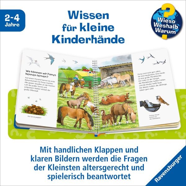Das Pony / Wieso? Weshalb? Warum? Junior Bd. 20