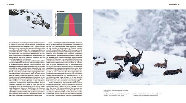 Produktbild: Der Steinbock