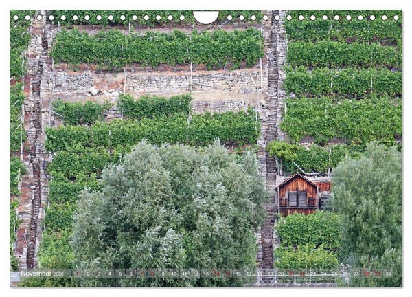 Produktbild: Weinbergh&auml;uschen - Schutz- und Werkzeughaus f&uuml;r den Weing&auml;rtner (Wandkalender 2026 DIN A4 quer), CALVENDO Monatskalender