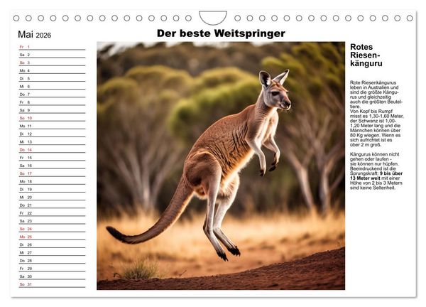 Produktbild: Tierische Rekorde (Wandkalender 2026 DIN A4 quer), CALVENDO Monatskalender