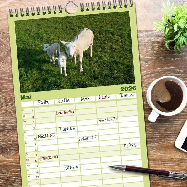 Produktbild: Familienplaner 2026 - Ameland Wundersch&ouml;ne Insel mit 5 Spalten (Wandkalender, 21 x 45 cm) CALVENDO