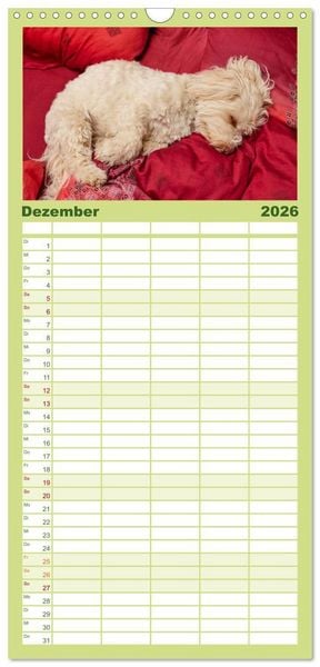 Produktbild: Familienplaner 2026 - Havaneser - Herz aus Gold mit 5 Spalten (Wandkalender, 21 x 45 cm) CALVENDO