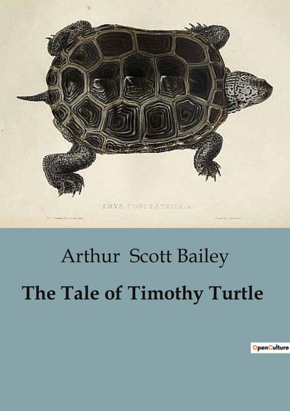 Produktbild: The Tale of Timothy Turtle