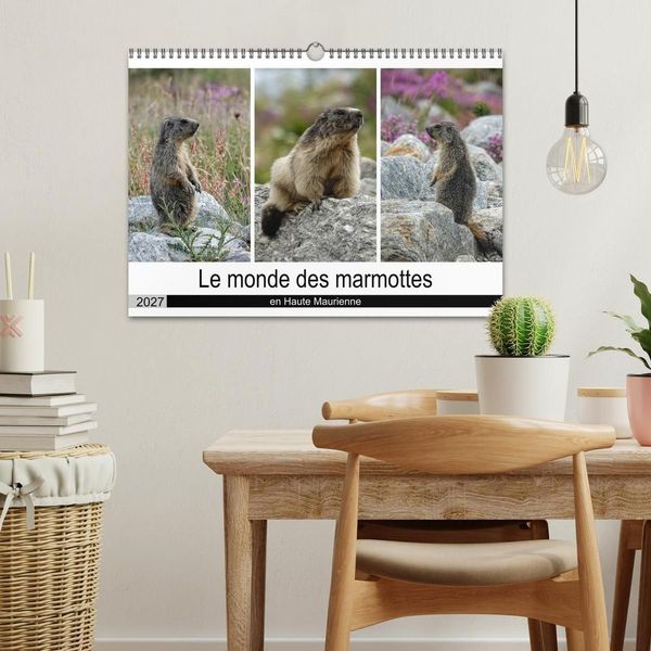 Produktbild: Le monde des marmottes en Haute Maurienne (Calendrier mural 2027 DIN A3 vertical), CALVENDO calendrier mensuel