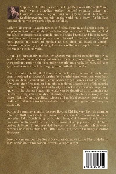 Produktbild: Literary Lapses