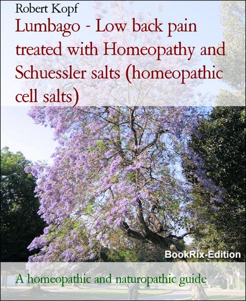 Produktbild: Lumbago - Low back pain treated with Homeopathy and Schuessler salts (homeopathic cell salts)