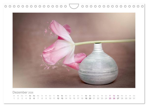 Produktbild: Blumen zart und sch&ouml;n (Wandkalender 2026 DIN A4 quer), CALVENDO Monatskalender
