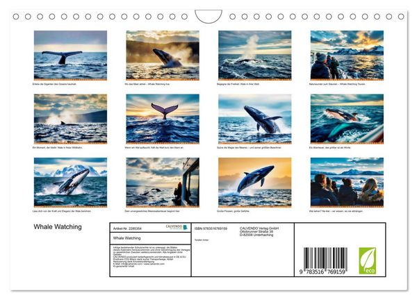 Produktbild: Whale Watching (Wandkalender 2027 DIN A4 quer), CALVENDO Monatskalender