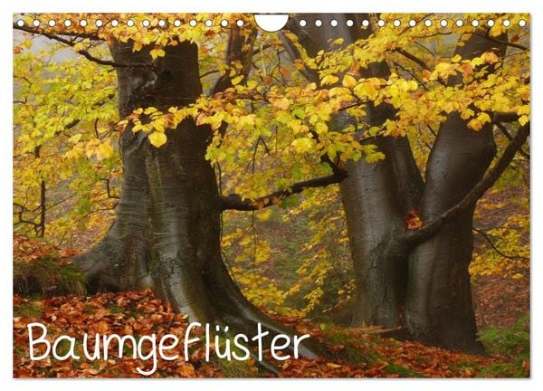 Produktbild: Baumgefl&uuml;ster (Wandkalender 2026 DIN A4 quer), CALVENDO Monatskalender