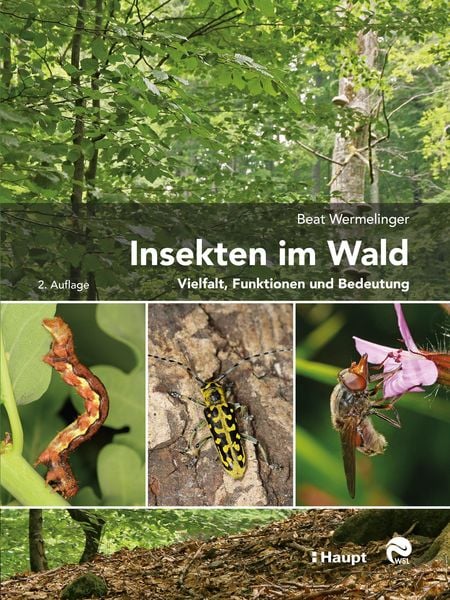 Produktbild: Insekten im Wald