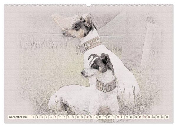 Produktbild: Bodeguero Andaluz 2026 (Wandkalender 2026 DIN A2 quer), CALVENDO Monatskalender