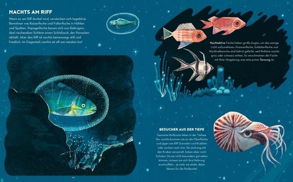 Produktbild: Das Great Barrier Reef