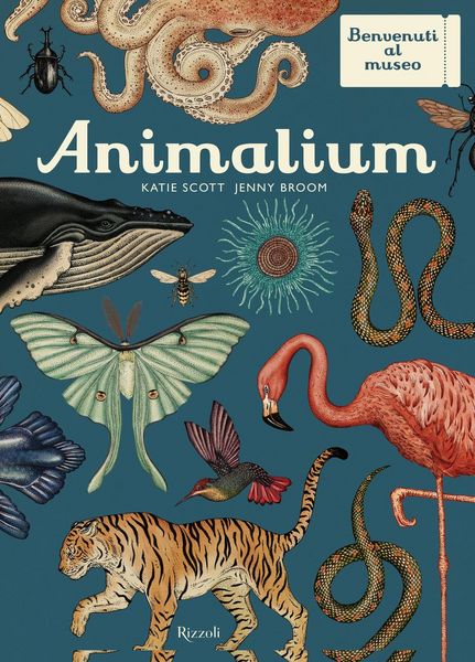 Produktbild: Animalium. Il grande museo degli animali