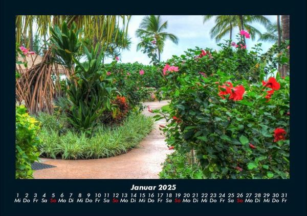 Produktbild: Blumenzauber 2025 Fotokalender DIN A4