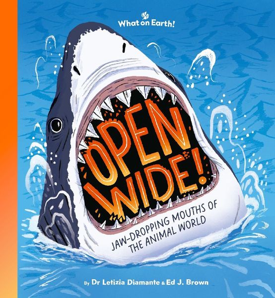 Produktbild: Open Wide!