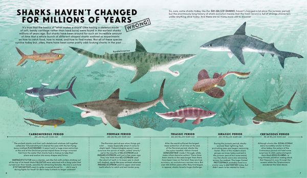 Produktbild: Everything You Know about Sharks Is Wrong!