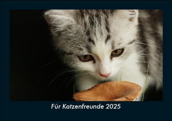 Produktbild: F&uuml;r Katzenfreunde 2025 Fotokalender DIN A5