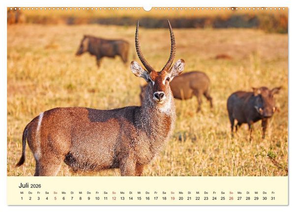 Produktbild: Traumhaftes Malawi (hochwertiger Premium Wandkalender 2026 DIN A2 quer), Kunstdruck in Hochglanz