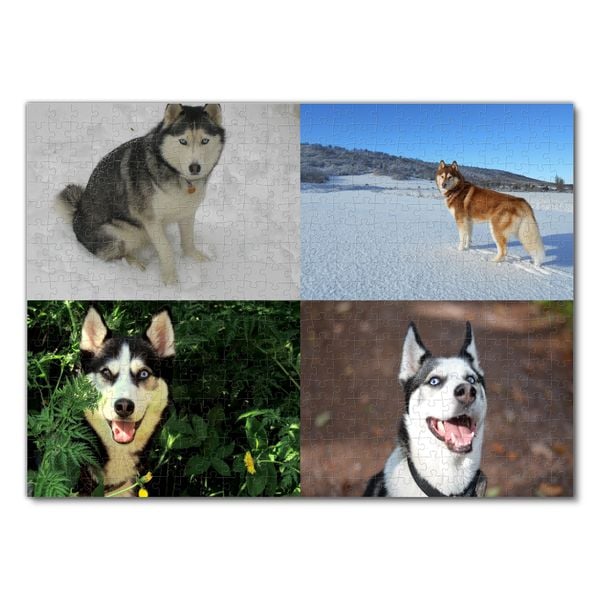 Produktbild: Lais Puzzle Collage Husky 500 Teile