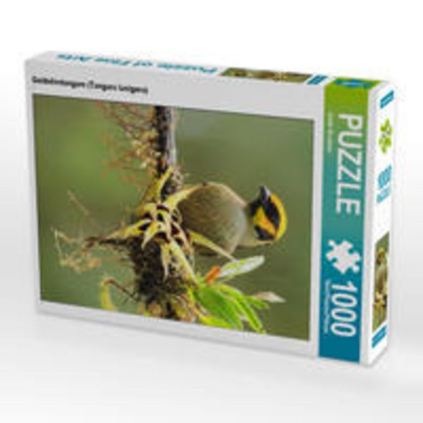CALVENDO Puzzle Goldstirntangare (Tangara lunigera) 1000 Teile Lege-Größe 48 x 64 cm Foto-Puzzle Bild von Armin Brockner