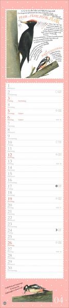 Produktbild: Marjolein Bastin: Die bunte Vogelwelt Langplaner 2026
