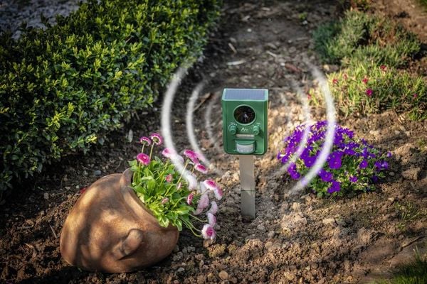 Produktbild: Gardigo Tiervertreiber Funktionsart Multifrequenz, LED-Licht, Solar 1St.