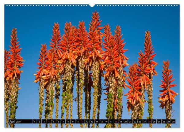 Produktbild: Namib Naukluft Nationalpark. NAMIBIA 2027 (Wandkalender 2027 DIN A2 quer), CALVENDO Monatskalender