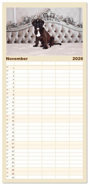 Produktbild: Familienplaner 2026 - Boxer Welpen einfach zuckers&uuml;&szlig; mit 5 Spalten (Wandkalender, 21 x 45 cm) CALVENDO