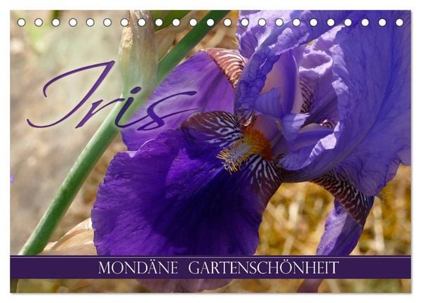 Produktbild: Iris - mond&auml;ne Gartensch&ouml;nheit (Tischkalender 2026 DIN A5 quer), CALVENDO Monatskalender