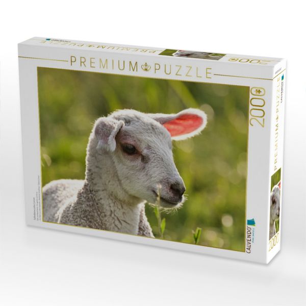 Produktbild: CALVENDO Puzzle Selbstbewusstes Lamm | 2000 Teile Lege-Gr&ouml;&szlig;e 90x67cm Foto-Puzzle f&uuml;r gl&uuml;ckliche Stunden