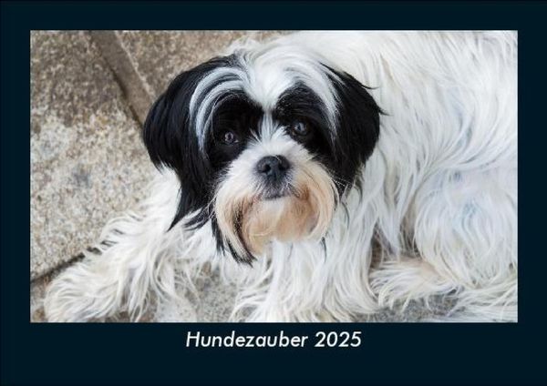 Produktbild: Hundezauber 2025 Fotokalender DIN A5