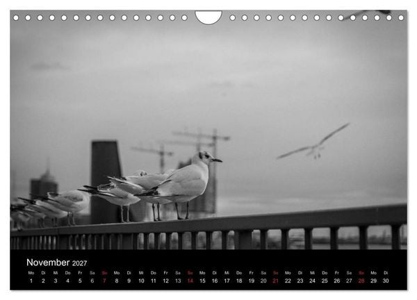 Produktbild: Mein Hamburg (Wandkalender 2027 DIN A4 quer), CALVENDO Monatskalender