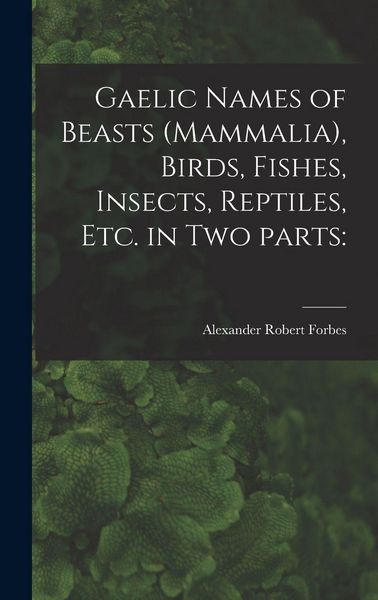 Produktbild: Gaelic Names of Beasts (Mammalia), Birds, Fishes, Insects, Reptiles, Etc. in Two Parts