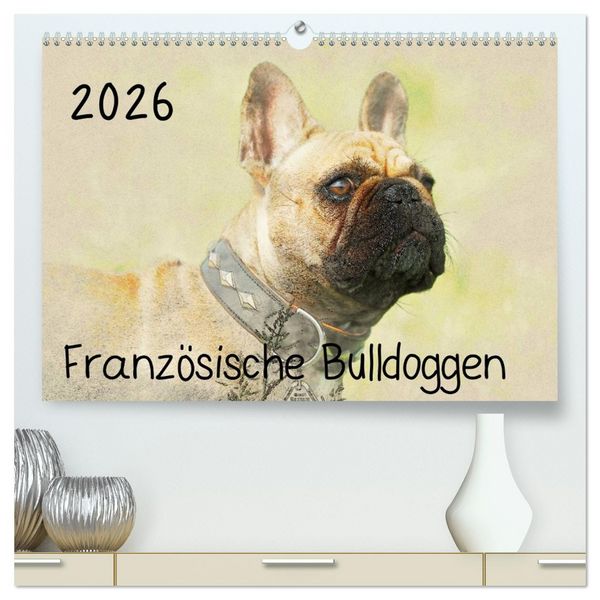 Produktbild: Franz&ouml;sische Bulldoggen 2026 (hochwertiger Premium Wandkalender 2026 DIN A2 quer), Kunstdruck in Hochglanz
