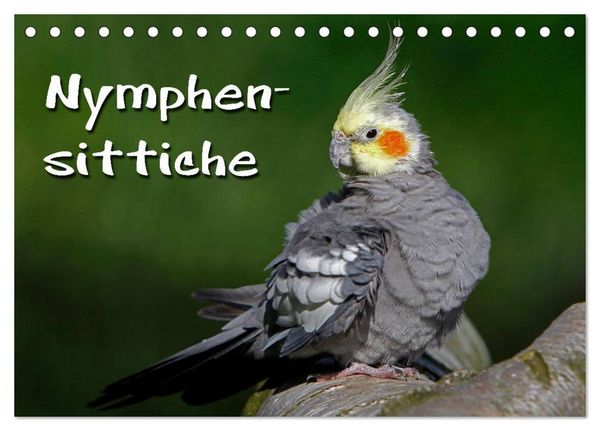 Nymphensittiche (Tischkalender 2026 DIN A5 quer), CALVENDO Monatskalender