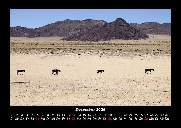 Produktbild: Pferdegefl&uuml;ster 2026 Fotokalender DIN A3