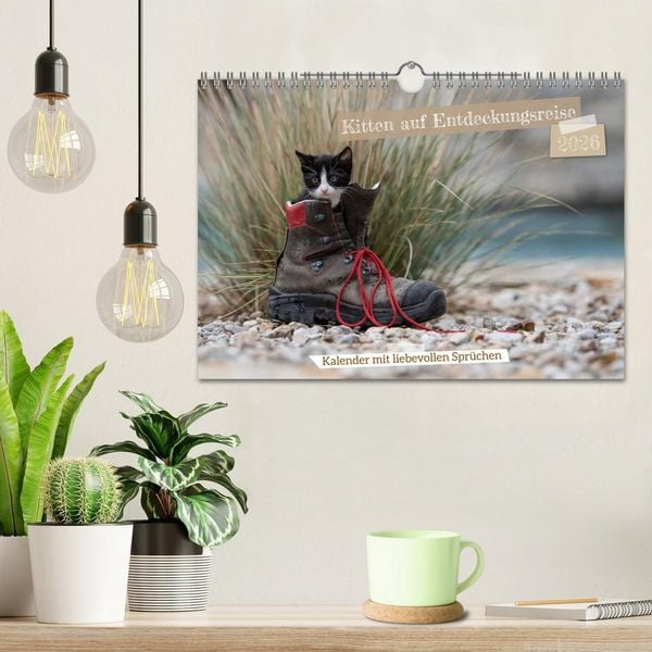 Produktbild: Kitten auf Entdeckungsreise (Wandkalender 2026 DIN A4 quer), CALVENDO Monatskalender