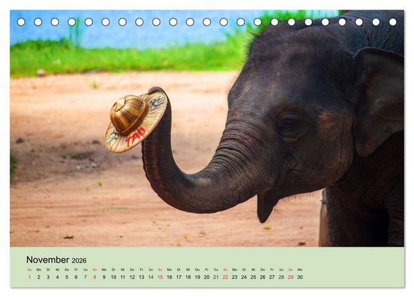 Produktbild: Elefanten. Badespa&szlig; am Strand (Tischkalender 2026 DIN A5 quer), CALVENDO Monatskalender