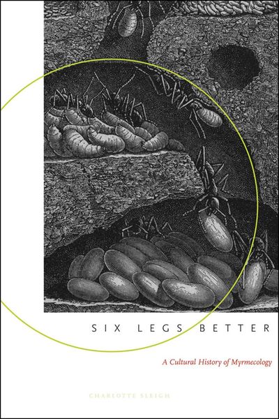 Produktbild: Six Legs Better