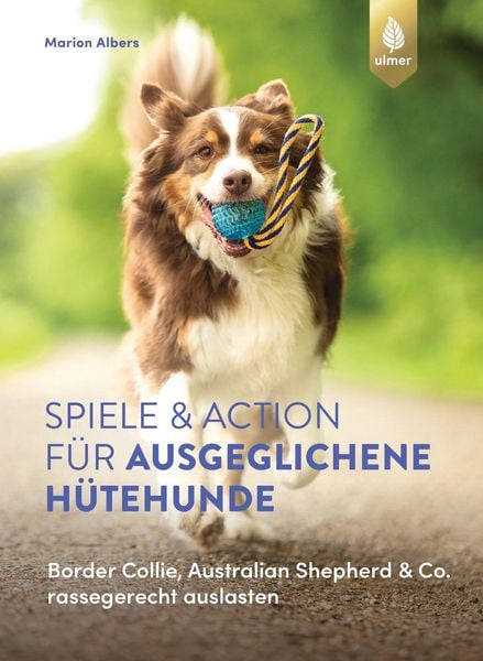 Produktbild: Spiele und Action f&uuml;r ausgeglichene H&uuml;tehunde