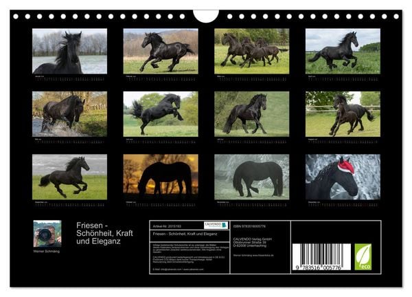 Produktbild: Friesen - Sch&ouml;nheit, Kraft und Eleganz (Wandkalender 2026 DIN A4 quer), CALVENDO Monatskalender