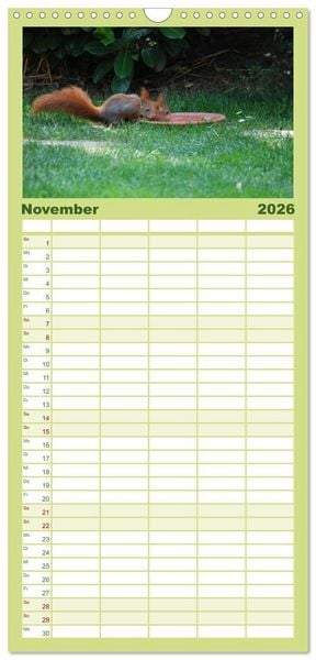 Produktbild: Familienplaner 2026 - Spa&szlig; mit Eichh&ouml;rnchen-Kindern mit 5 Spalten (Wandkalender, 21 x 45 cm) CALVENDO