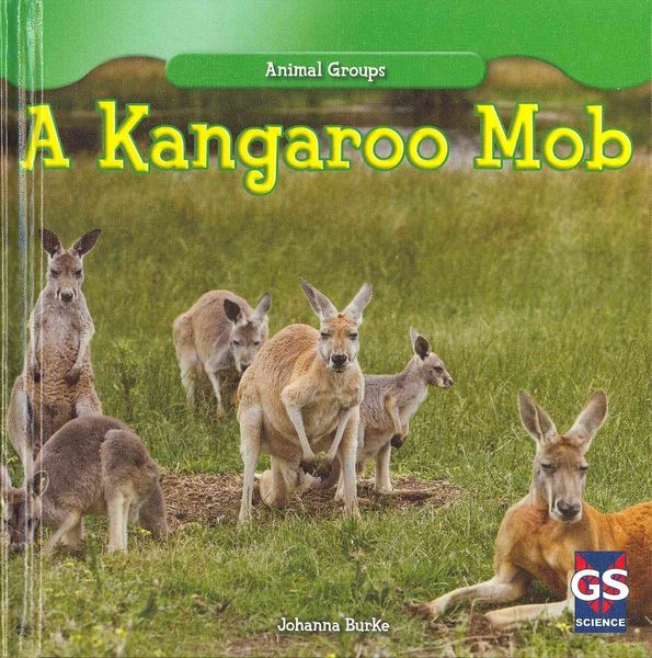 Produktbild: Kangaroo Mob