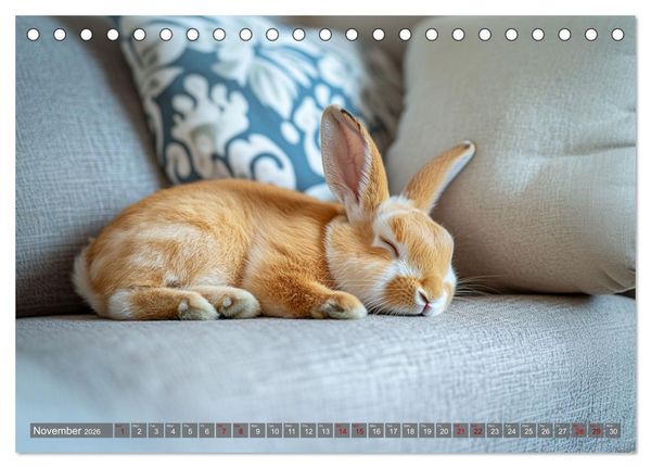 Produktbild: A Cuddly Rabbit Life (Desk Calendar 2026 DIN A5 landscape), CALVENDO 12 Month DeskCalendar