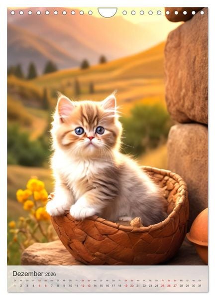 Produktbild: Katzenkinder (Wandkalender 2026 DIN A4 hoch), CALVENDO Monatskalender
