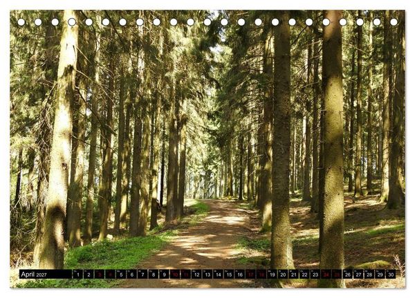 Produktbild: Naturwunder Wald (Tischkalender 2027 DIN A5 quer), CALVENDO Monatskalender