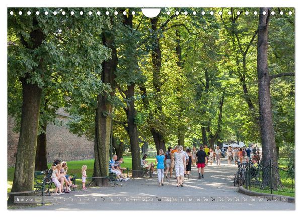 Produktbild: Polen Poesie (Wandkalender 2026 DIN A4 quer), CALVENDO Monatskalender